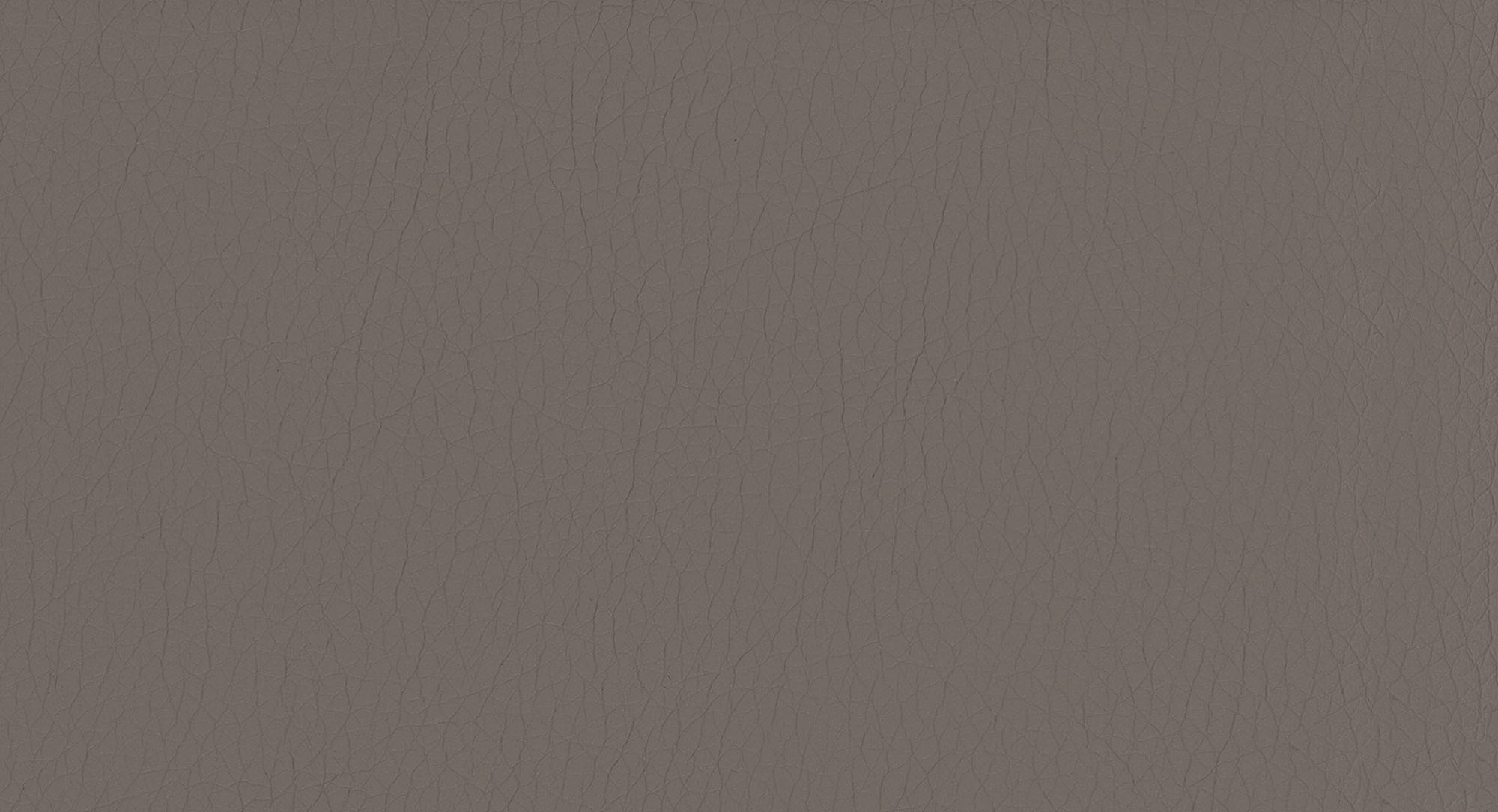 Pulse D224 Elephant 2S